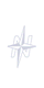 TN_Logo_Ani.gif
